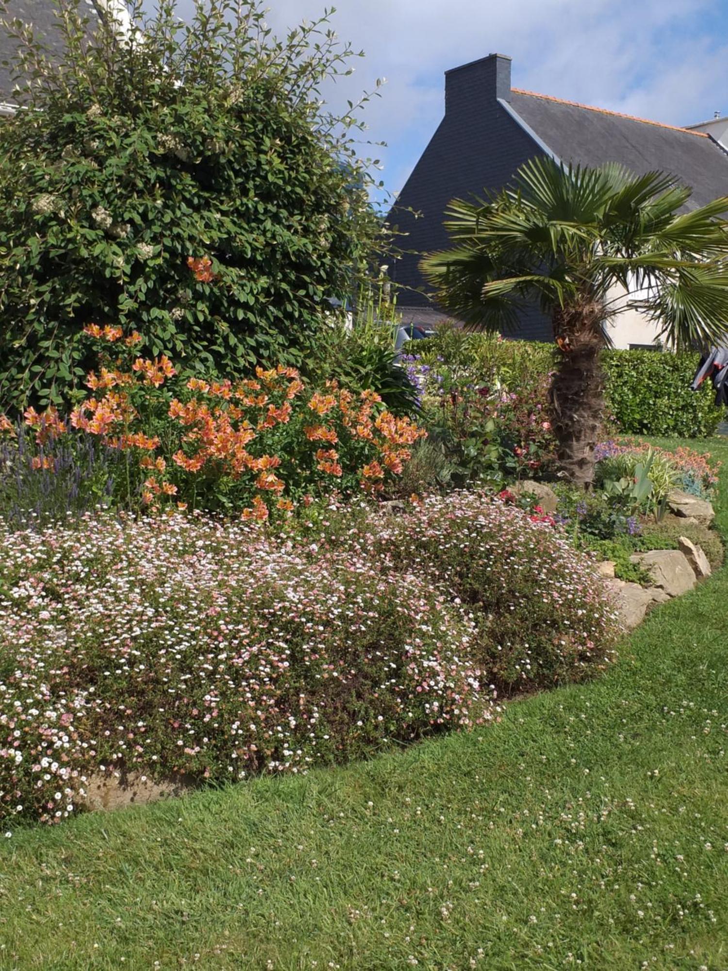 Bed and Breakfast Aux Volets Bleus Sibiril Exterior foto